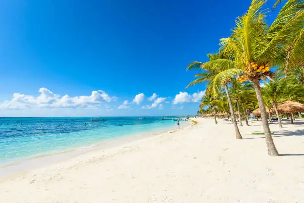 Akumal beach - paradise bay  Beach in Quintana Roo, Mexico - caribbean coast - Riviera Maya
