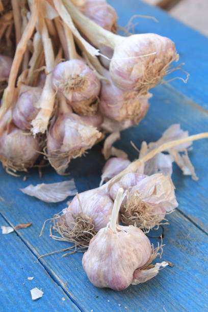 istock garlic on a wooden floor 685407000