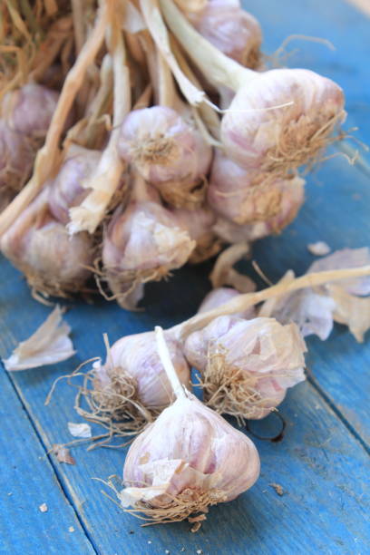 istock garlic on a wooden floor 685407172