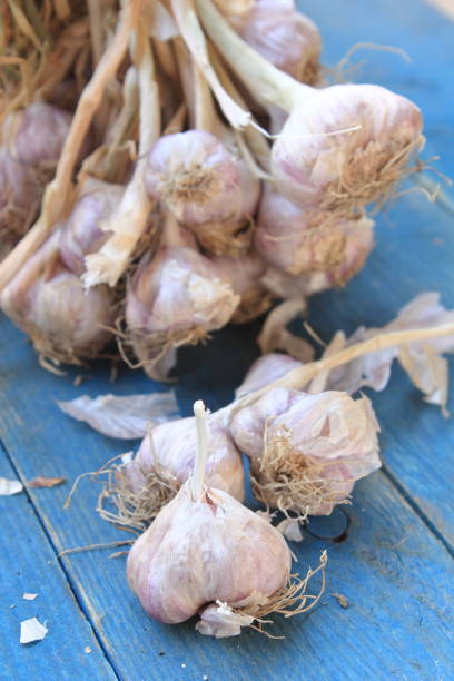 istock garlic on a wooden floor 685407296