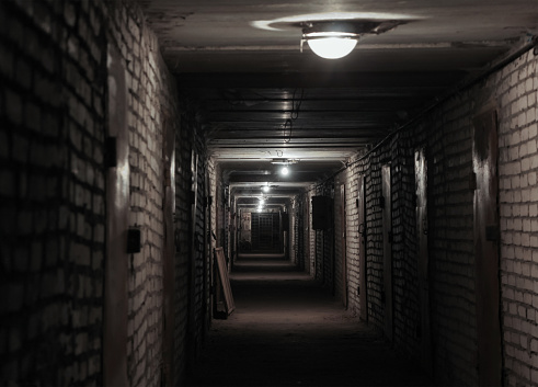 Long corridor in a basement with ceiling lights, metal doors