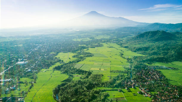 istock Beautiful view of paddy field and village 685458024