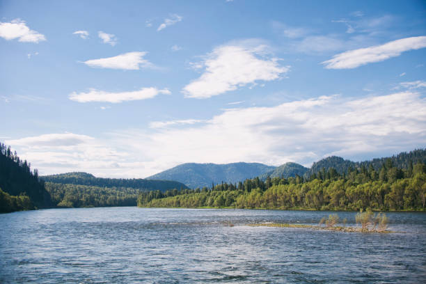 istock Biya river landscape. Altai. Russia 685461748