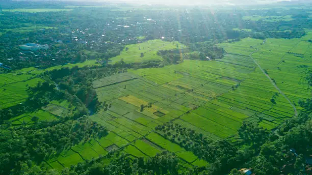 Beautiful aerial view of green rice field and village in Majalengka, West Java, Indonesia