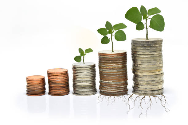 istock Step of coins grow up 685471202