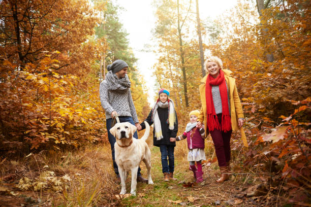 istock Parents and kids walking dog in forest 685483612