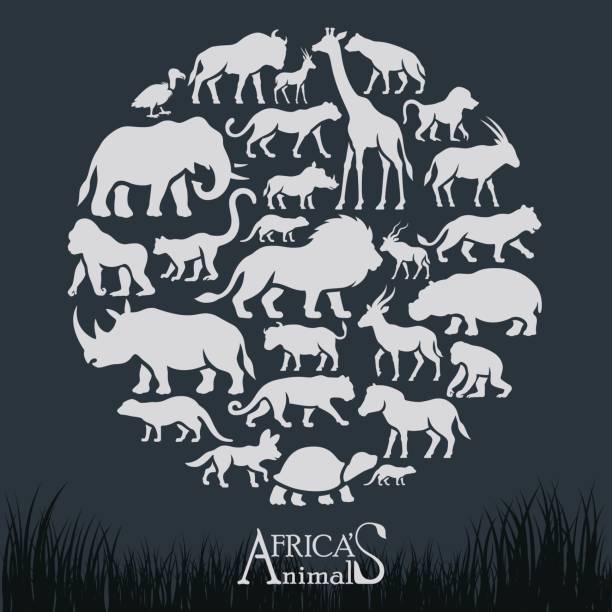 ilustraciones, imágenes clip art, dibujos animados e iconos de stock de collage de animales africanos - monkey baboon elephant ape