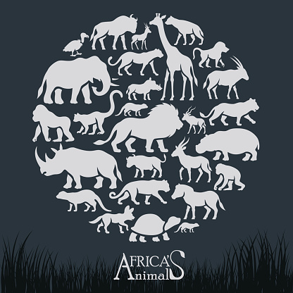 African Animals Collage
