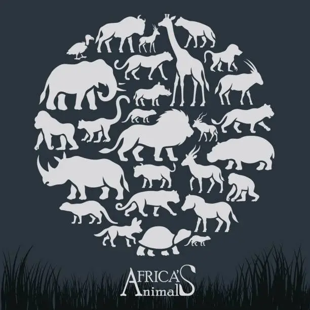 Vector illustration of African Animals Collage