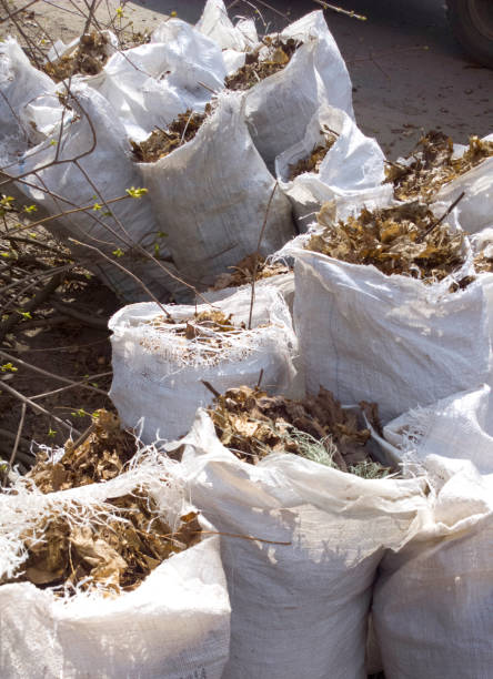 istock Dry leaves in bags 685495866