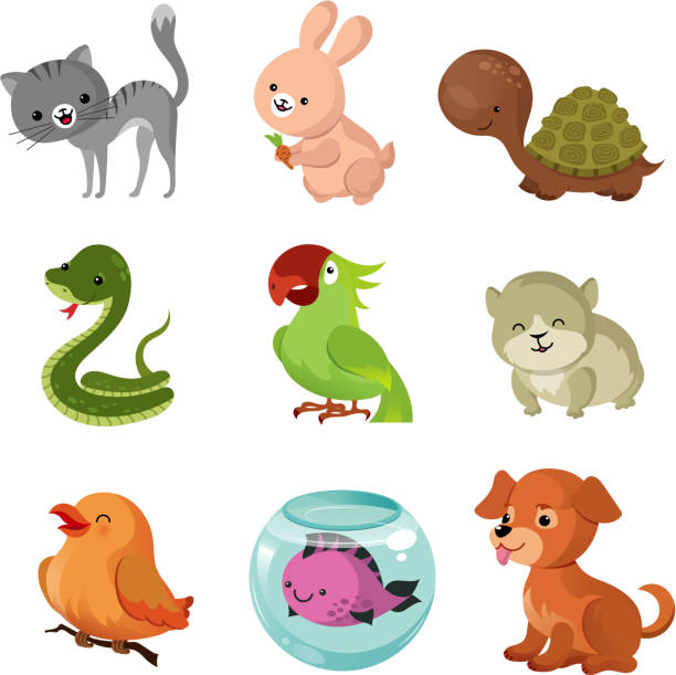 ilustrações de stock, clip art, desenhos animados e ícones de pets domestic animals vector flat icons - color image dog snake pets