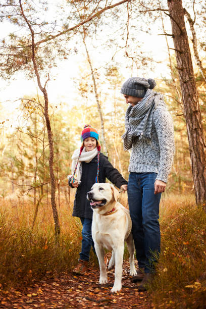 istock Pleasant company in seasonal woods 685503270