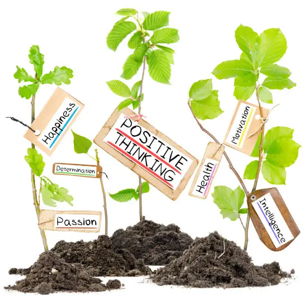 Photo of plants growing from soil heaps with POSITIVE THINKING conceptual words written on paper cards