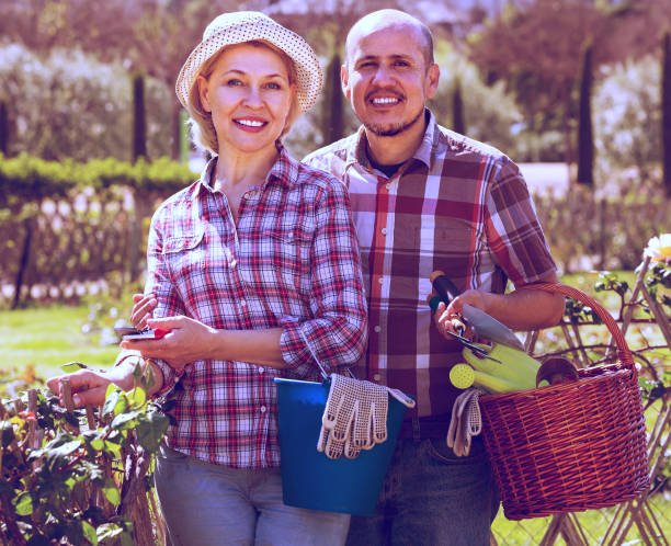 istock Senior couple working in the garden 685511480