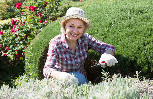 istock Senior woman working in the garden 685511574