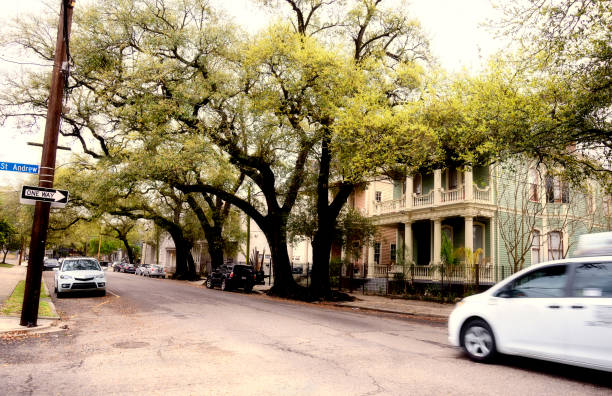 istock Homes in New Orleans, Louisiana 685511976