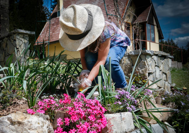 istock Little girl gardening 685512488