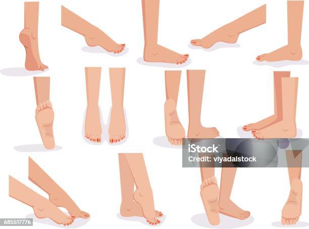 Female Feet Stock Illustration - Download Image Now - Foot, Leg, Vector