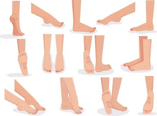 Vector illustration of Female feet