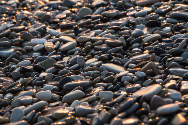 istock Background with wet shiny stones on the beach 685537122