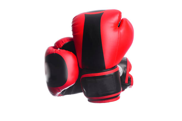 istock two crossed black boxing mitts on a white background 685549994