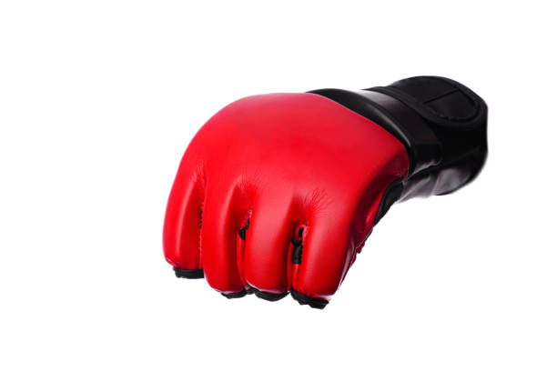 istock Kick-boxing gloves isolated on the white isolated 685550138