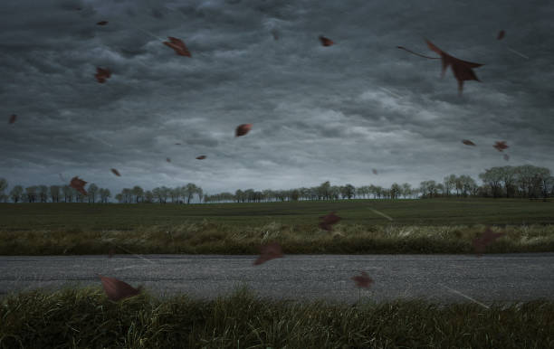 herbst hintergrund - tranquil scene sky road street stock-fotos und bilder