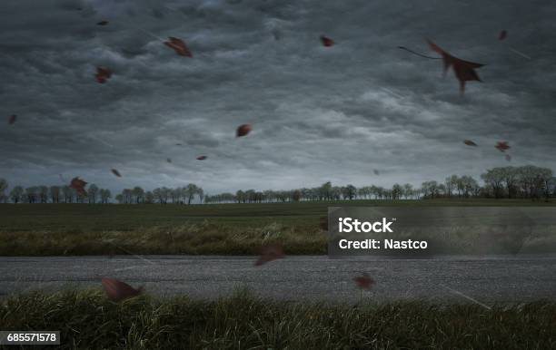 Herbst Hintergrund Stockfoto und mehr Bilder von Sturm - Sturm, Wind, Regen