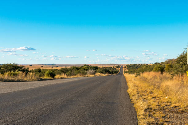 Long straight empty rural asphalt road running through dry winter landscape against blue sky horizon n Orange Free State in South Africa