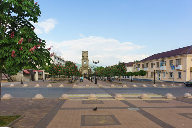 avenida castanha sobre o boulevard chernyakhovsky, a cidade de novorossiysk - brioni - fotografias e filmes do acervo