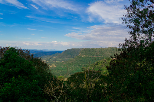 Mountains and trees in Canela, Rio Grande do Sul State, Brazil.