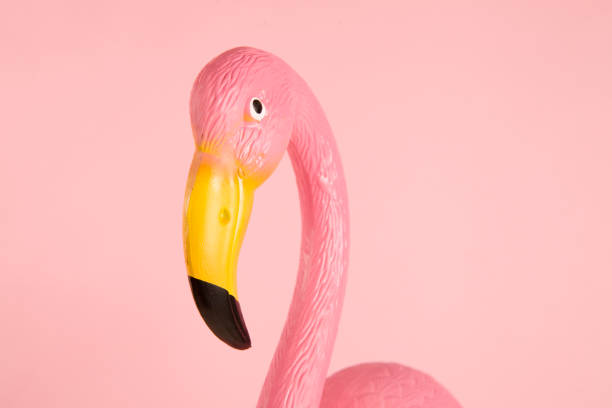 istock pink plastic flamingo on a pink background 685580340
