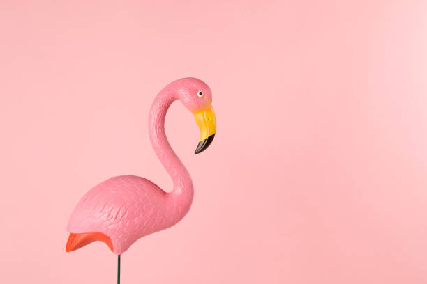 flamant en plastique rose sur fond rose - plastic flamingo photos et images de collection