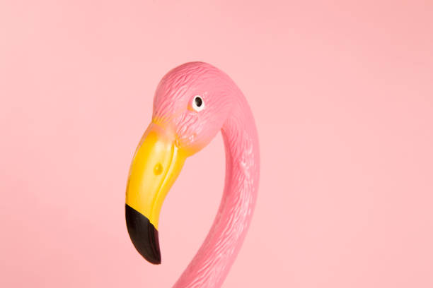 istock pink plastic flamingo on a pink background 685580370