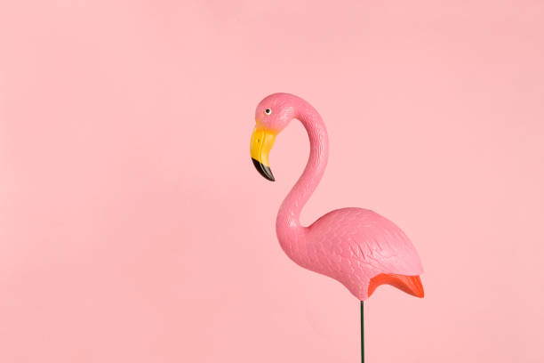 istock pink plastic flamingo on a pink background 685580372