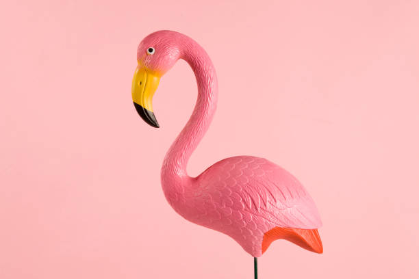 istock pink plastic flamingo on a pink background 685582406