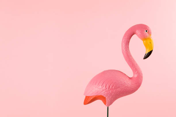 istock pink plastic flamingo on a pink background 685582418
