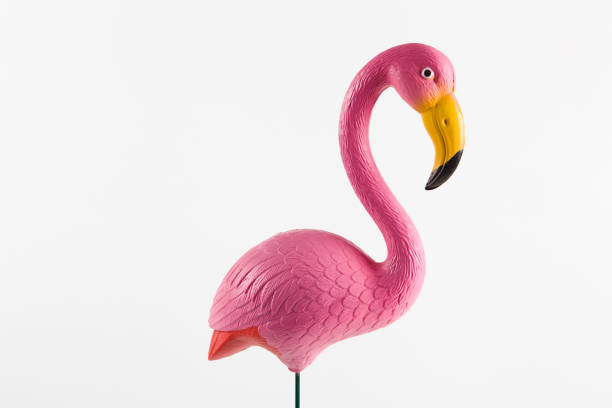 istock pink plastic flamingo on a pink background 685582432