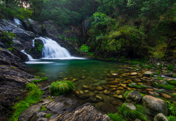 istock Waterfall in the middle of the forest 685582922