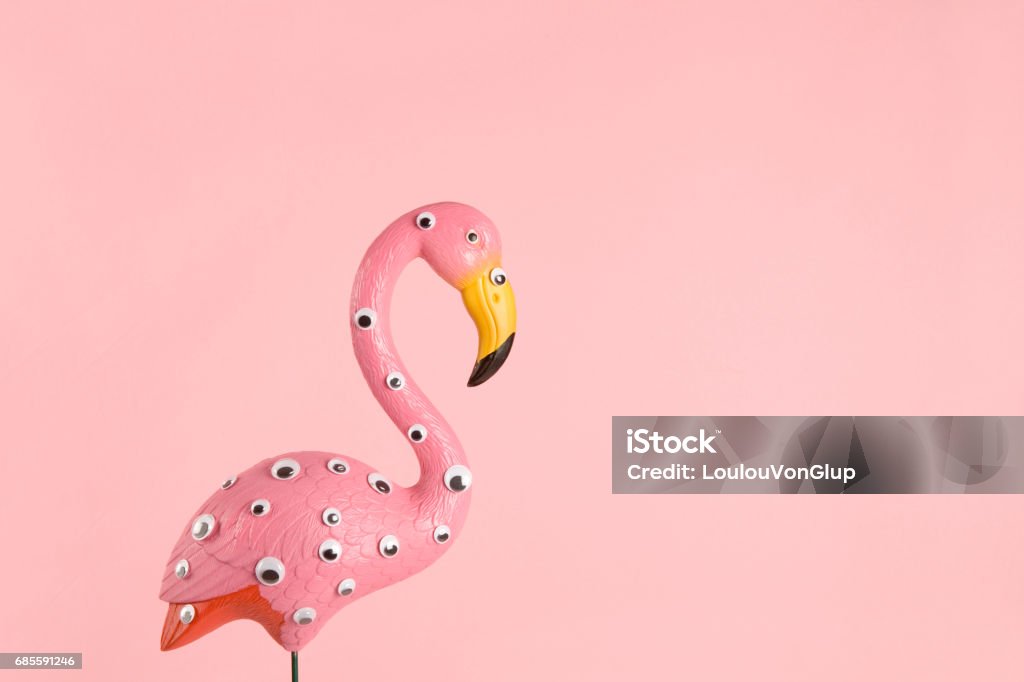 Freak rosa Kunststoff flamingo - Lizenzfrei Exzentrisch Stock-Foto