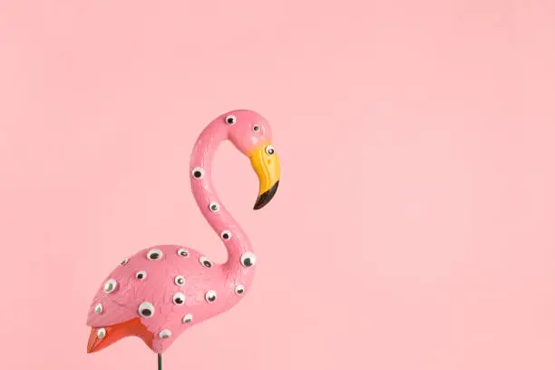 Photo of freak pink plastic flamingo
