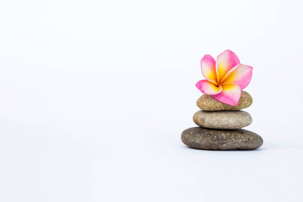 istock Plumeria flower on Zen stone 685591418