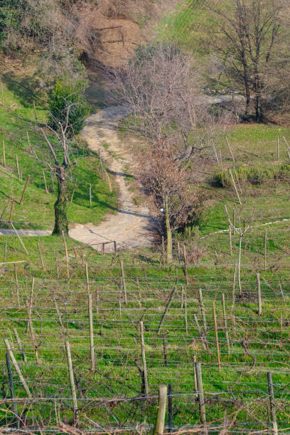 istock Winter landscape near Montevecchia 685605802