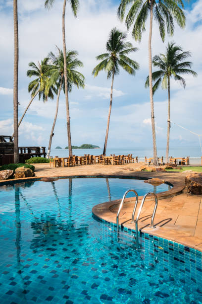 istock Swimming pool and  tropical palm trees 685609454