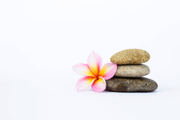 istock Fresh Plumeria flower and zen stone on white background 685621356