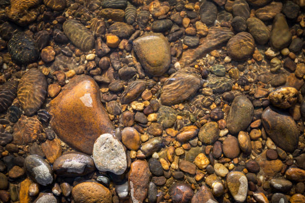 istock Natural background of pebble stone 685635016