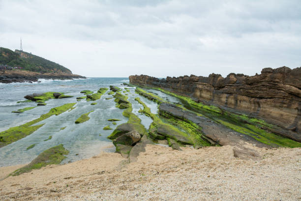 istock Moss on rocky coast on cloudy day 685643466