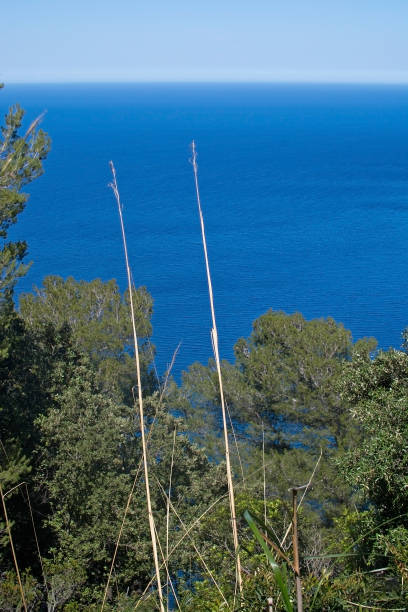 istock Seascape mountain view Mallorca 685650588