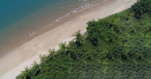 istock Aerial View of Deserted Beach 685661750