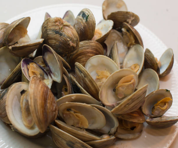 Clams in the white dish